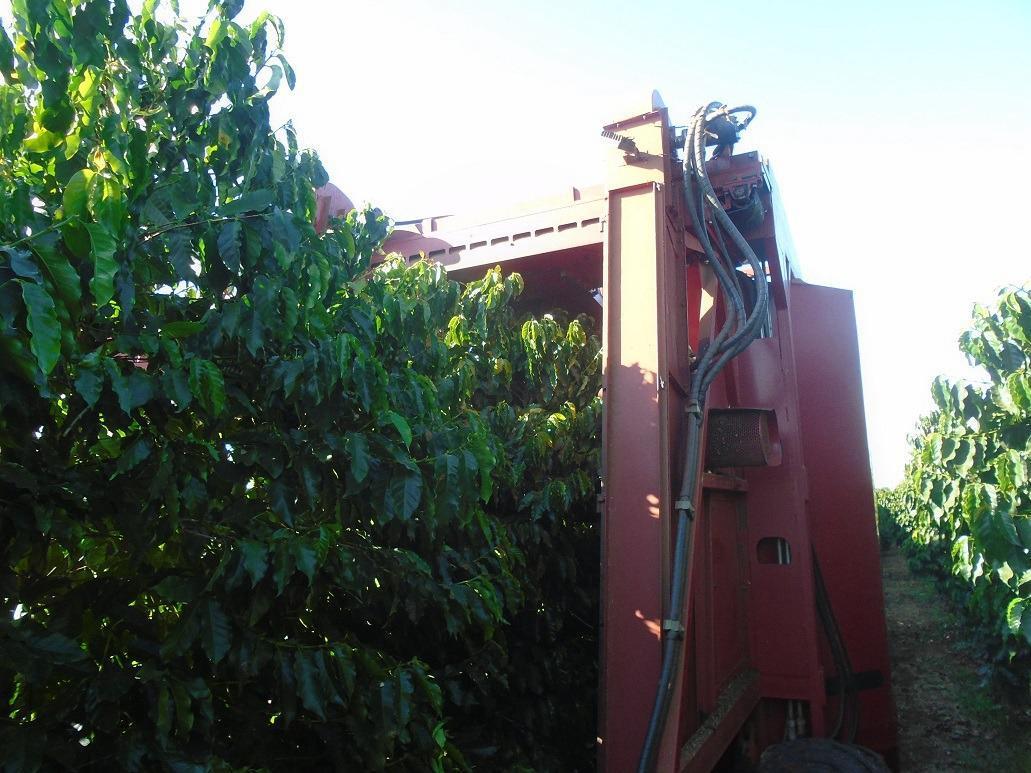 Fazenda, Zona Rural, 4 Quartos, 0 Vaga