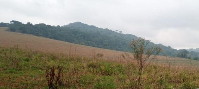 Fazenda, Centro, 0 Quarto, 0 Vaga