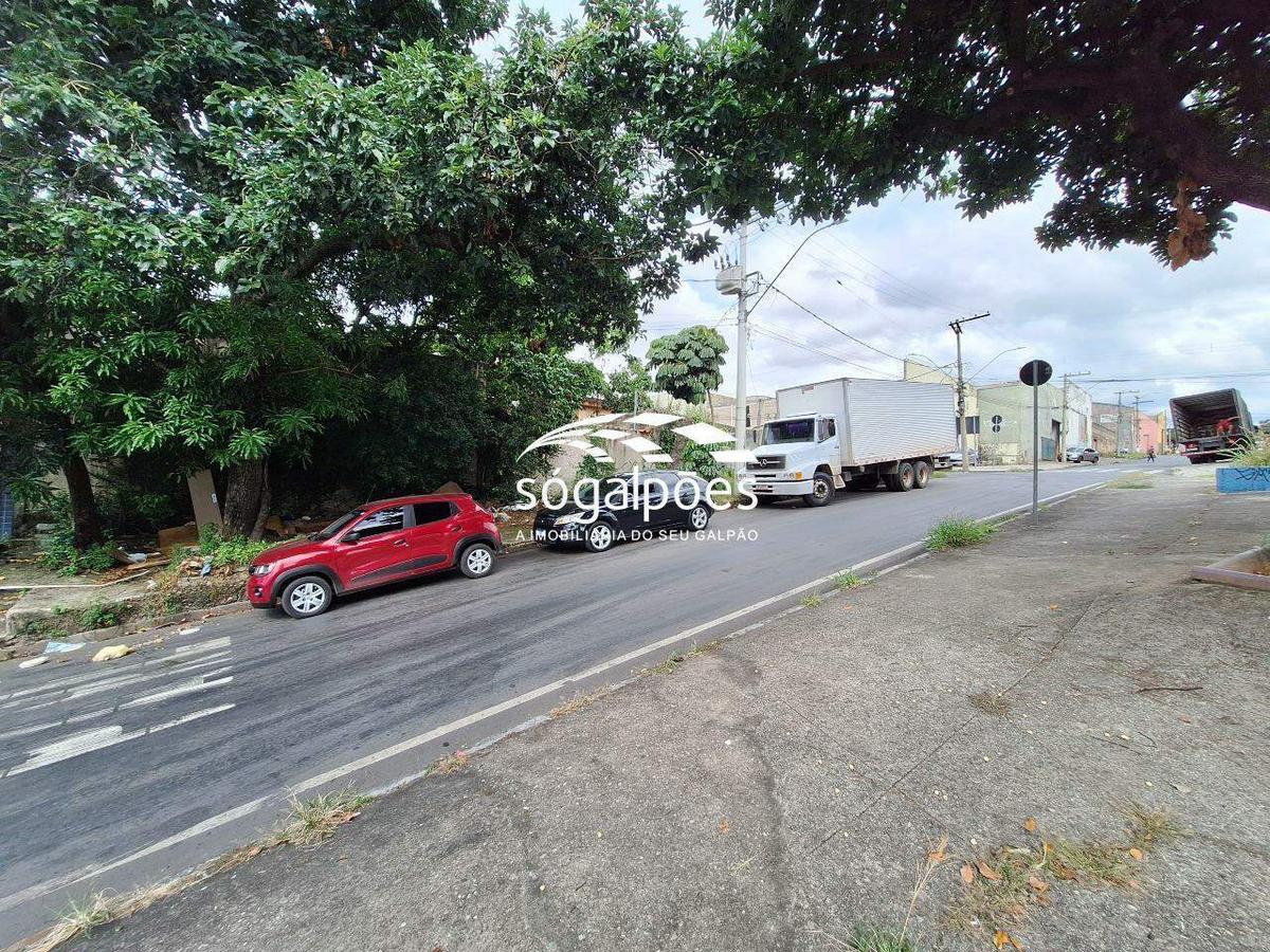 Lote, Kennedy
