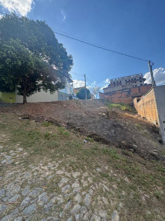 Lote, Novo Horizonte, 0 Quarto, 0 Vaga