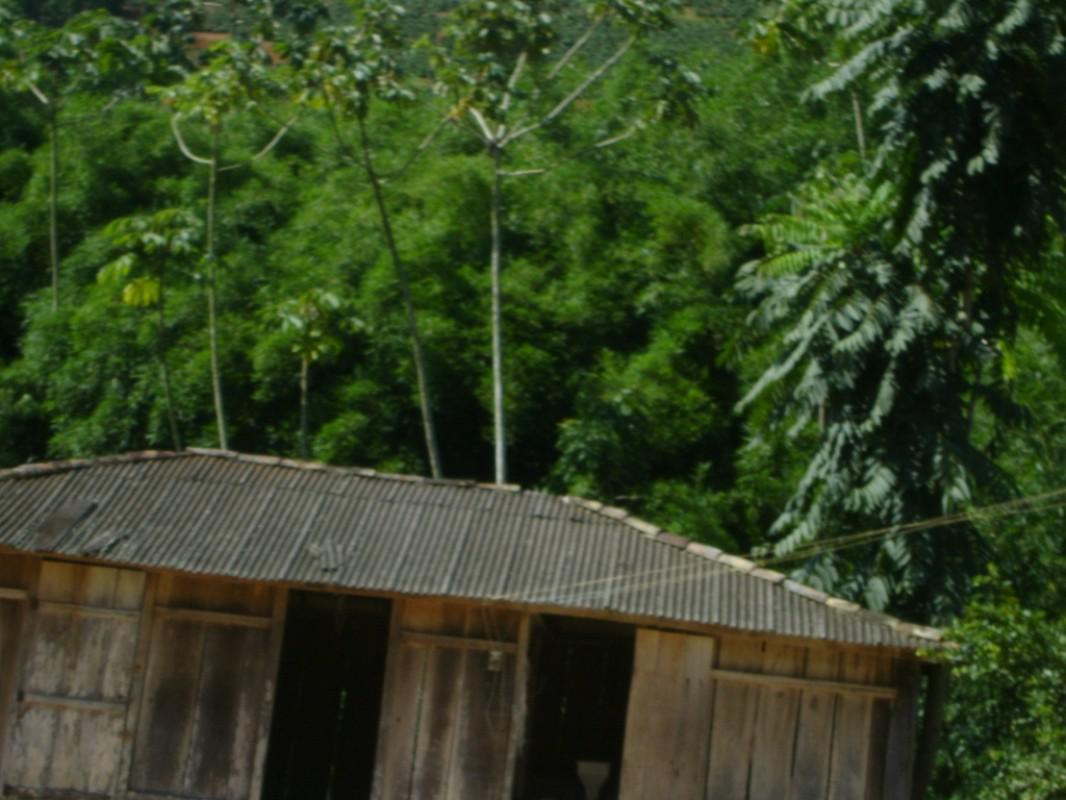 Fazenda, Centro, 3 Quartos, 1 Vaga