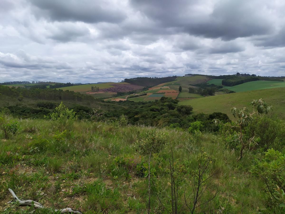 Fazenda, Centro, 1 Quarto, 0 Vaga