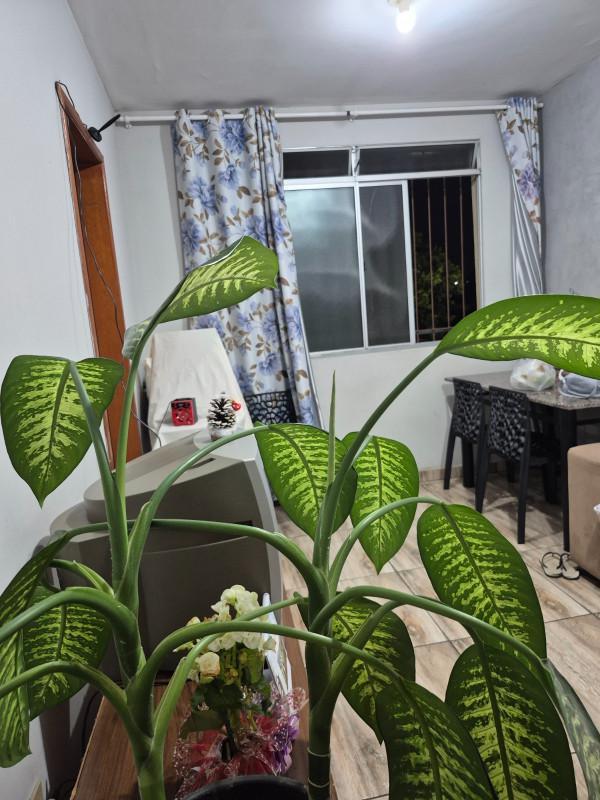 Apartamento, Parque Maracanã, 3 Quartos, 1 Vaga