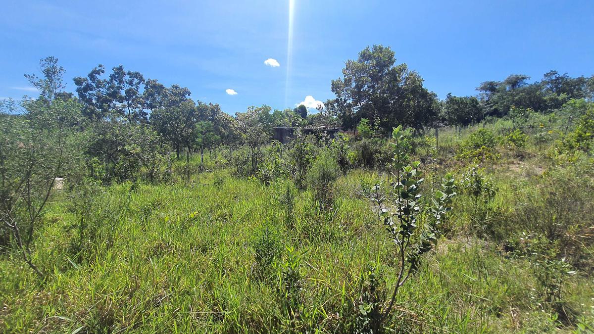 Lote, Ravena, 0 Quarto, 0 Vaga