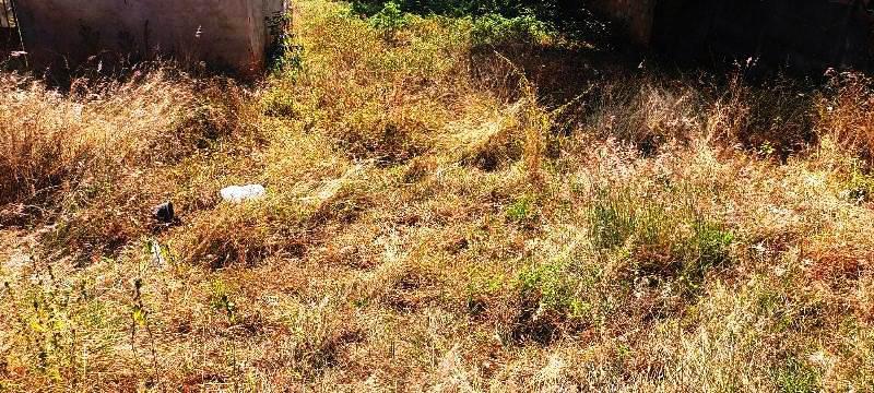 Lote, Flávio Marques Lisboa, 0 Quarto, 0 Vaga