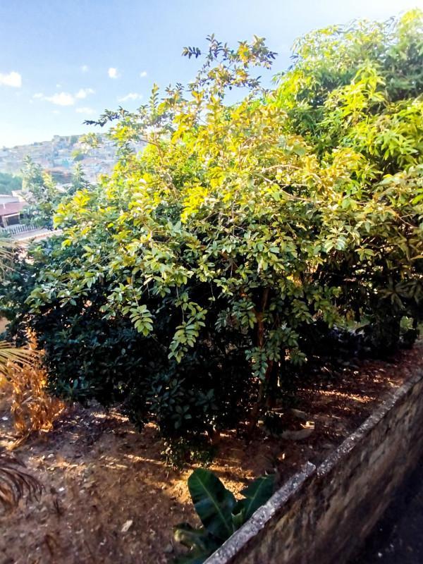 Lote, Paulo VI, 0 Quarto, 0 Vaga