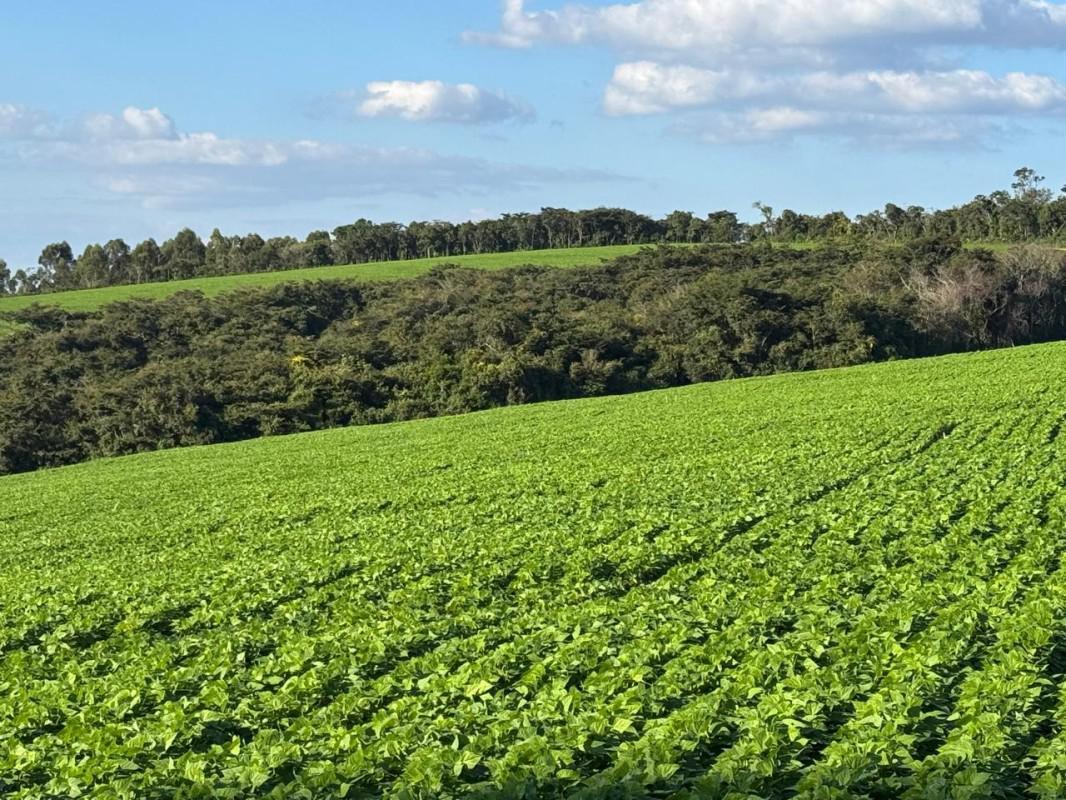 Fazenda, Zona Rural, 0 Quarto, 0 Vaga