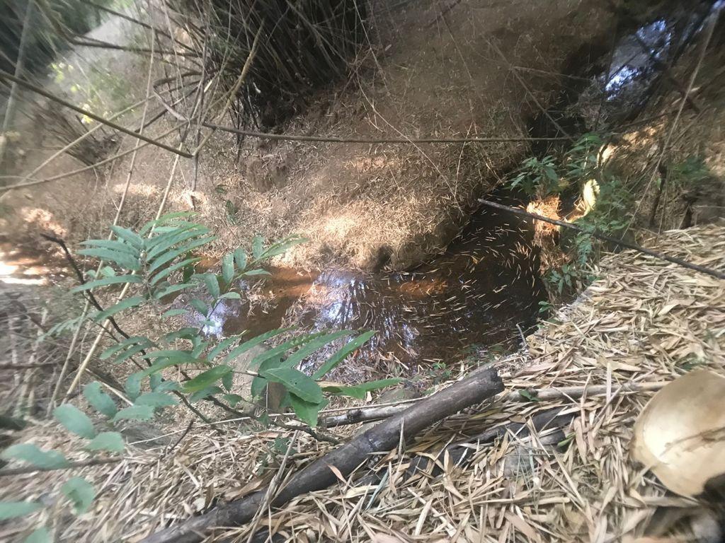 Fazenda, Centro, 4 Quartos, 0 Vaga