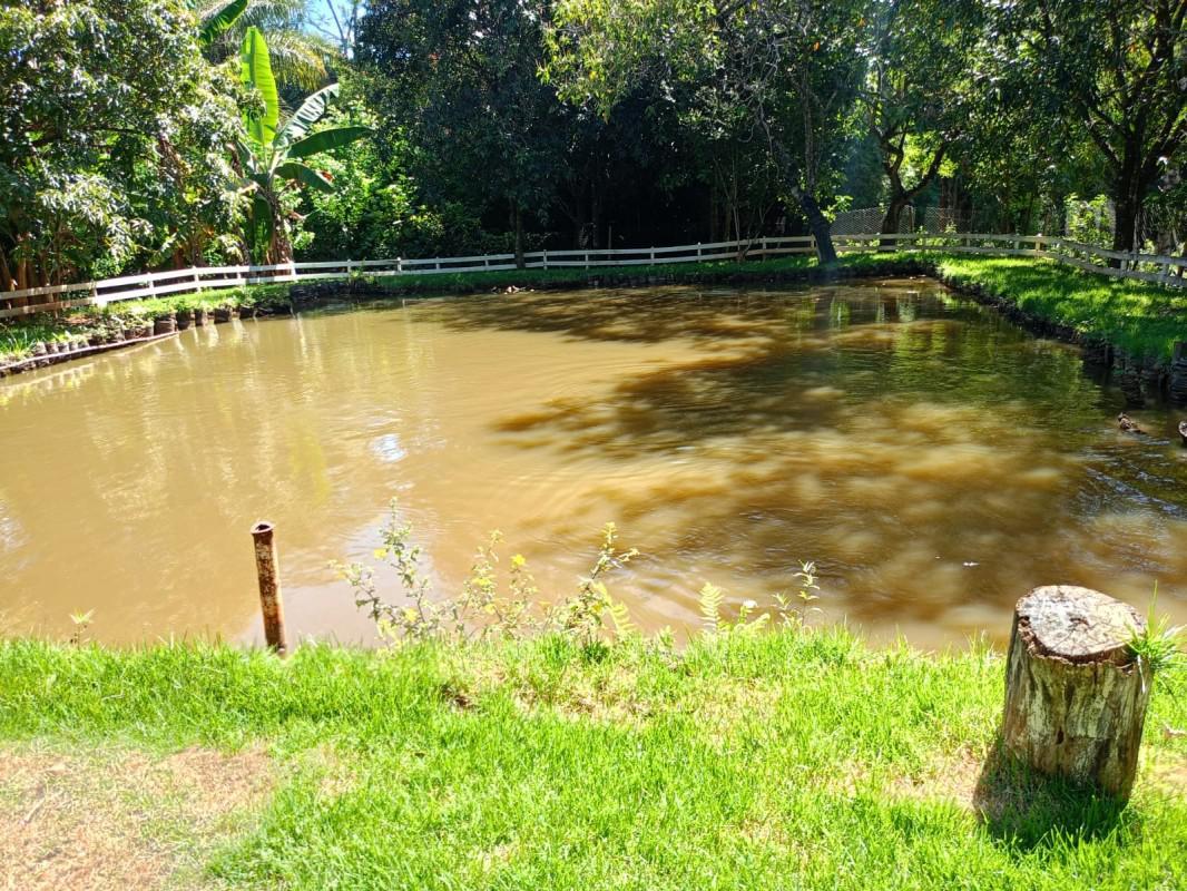 Fazenda, Ravena, 5 Quartos, 2 Vagas, 4 Suítes