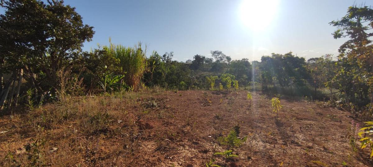 Fazenda, Centro, 1 Quarto, 0 Vaga