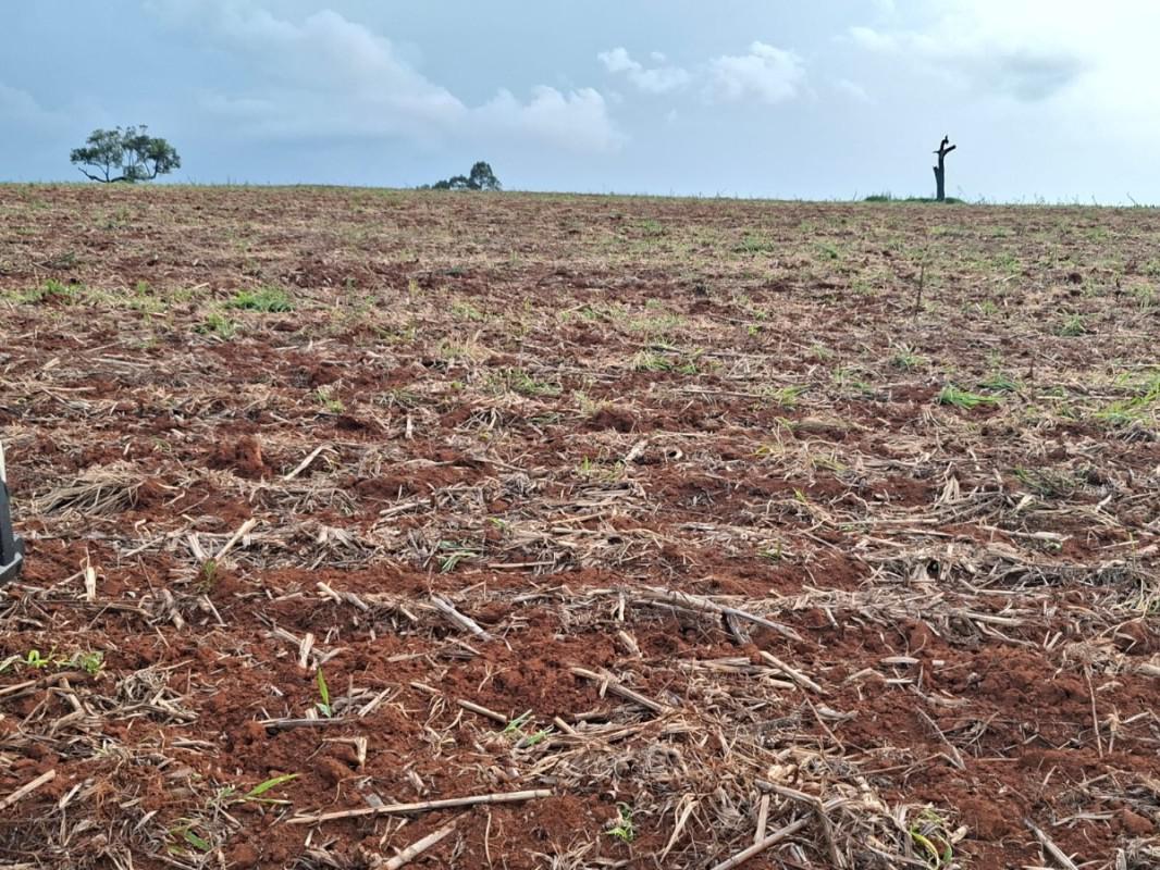 Fazenda, Zona Rural, 0 Quarto, 0 Vaga