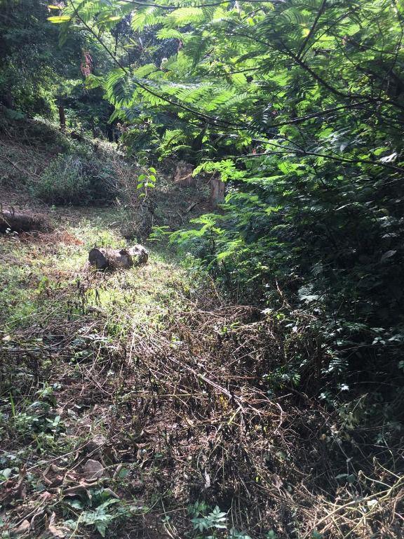Lote, Mangueiras, 0 Quarto, 0 Vaga