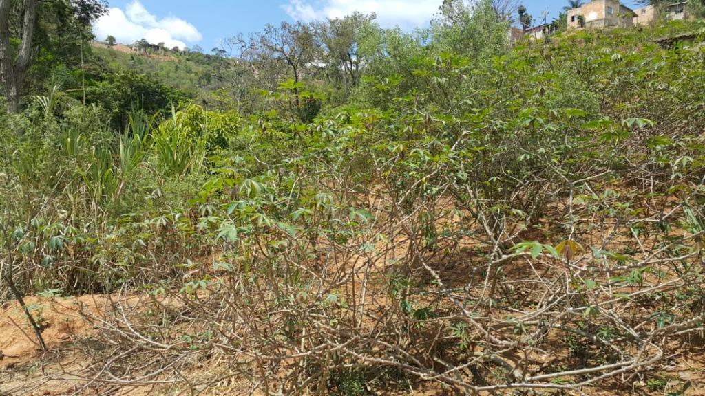 Lote, Rosário, 0 Quarto, 0 Vaga