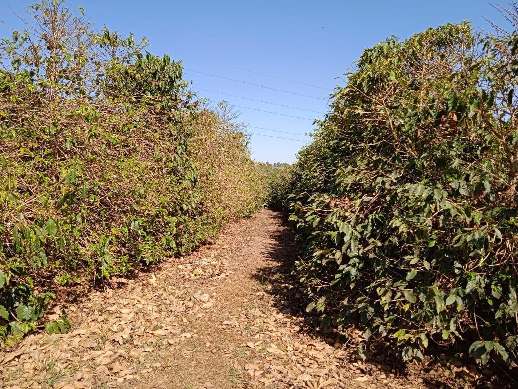 Fazenda, Zona Rural, 2 Quartos, 0 Vaga