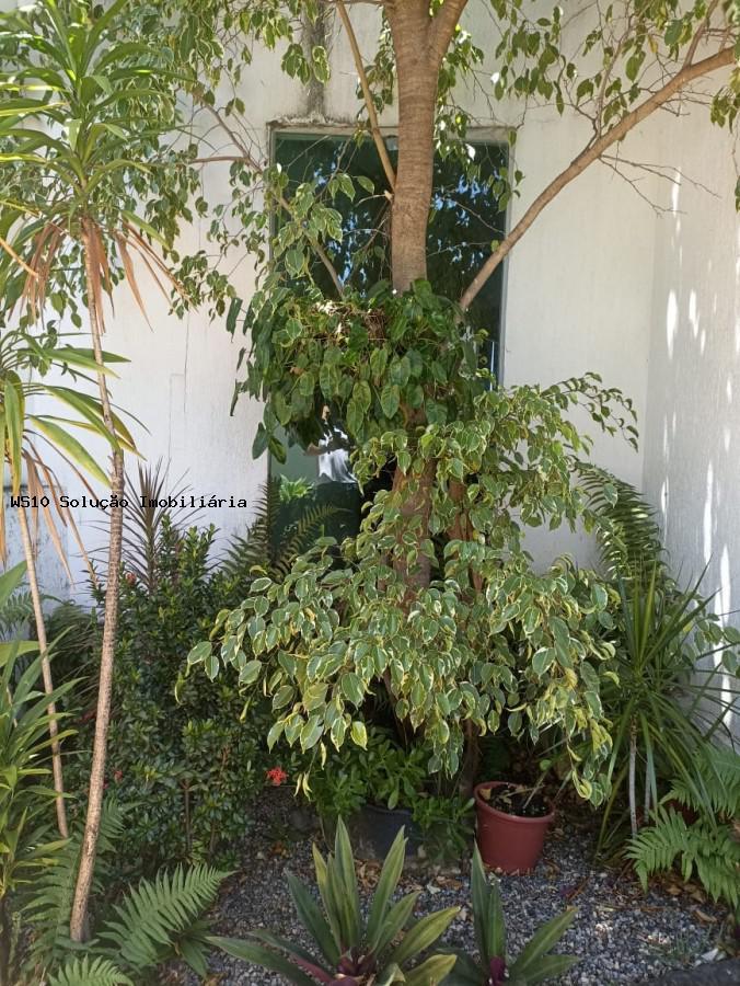 Casa, Santa Helena, 3 Quartos, 6 Vagas, 1 Suíte