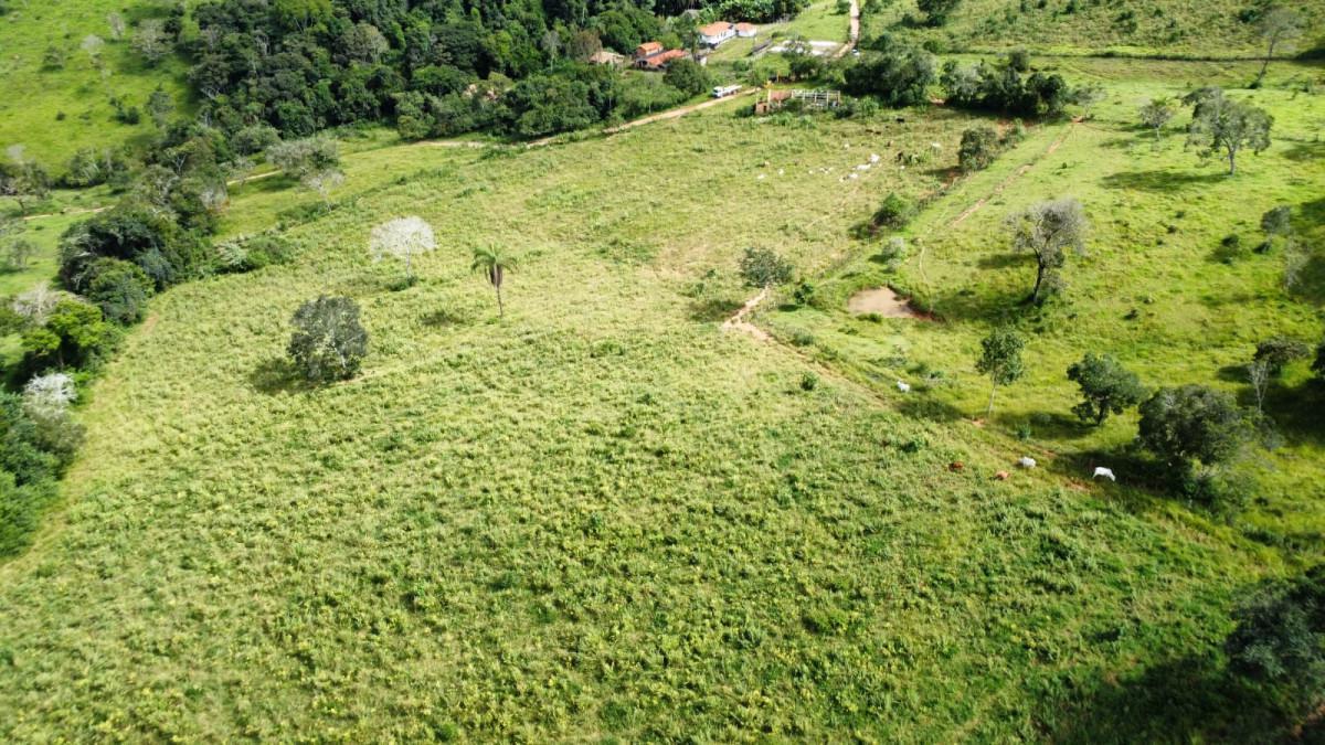 Fazenda, Centro, 0 Quarto, 0 Vaga