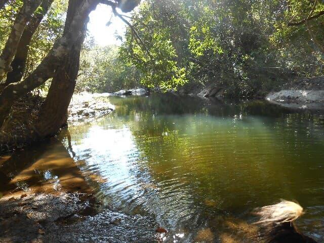 Fazenda, Zona Rural, 1 Quarto, 0 Vaga