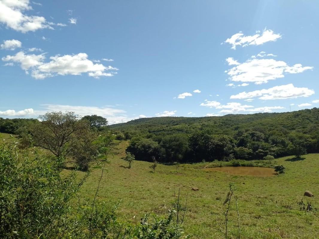 Fazenda, Centro, 10 Quartos, 0 Vaga, 2 Suítes