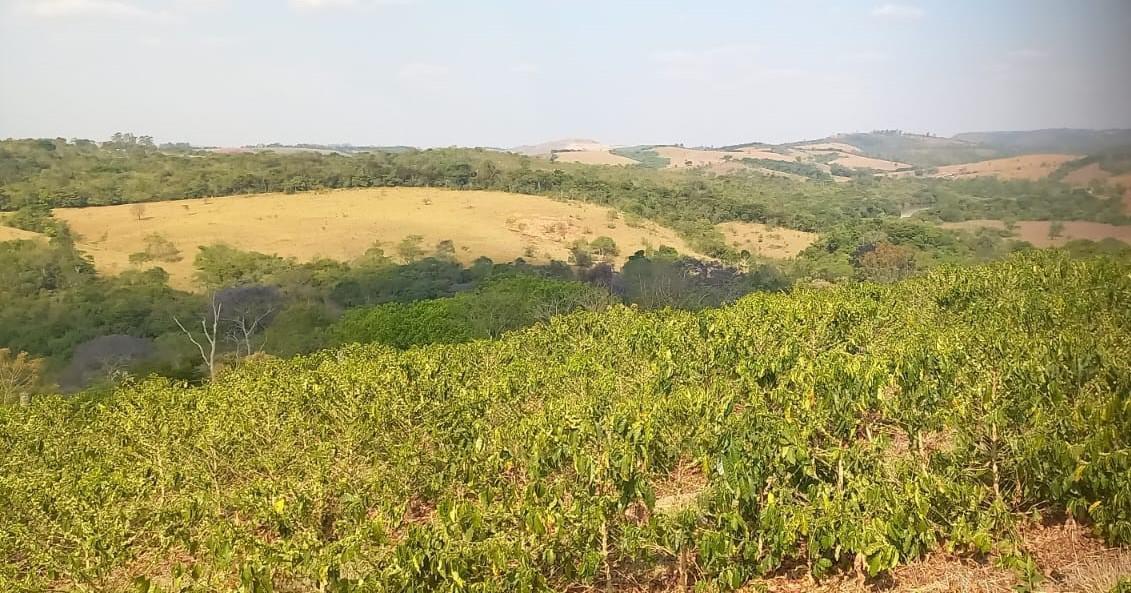Fazenda, Zona Rural, 4 Quartos, 0 Vaga