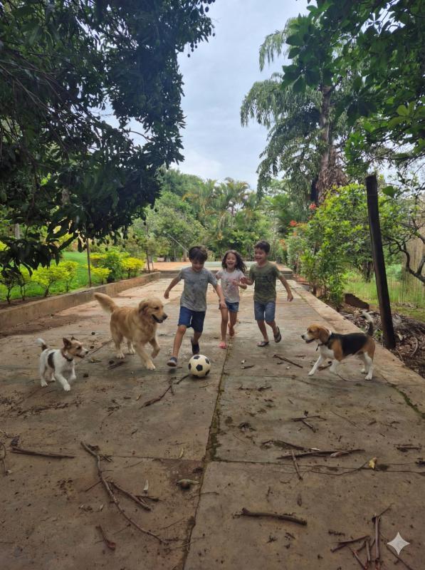 Fazenda, Vianópolis, 5 Quartos, 10 Vagas, 2 Suítes