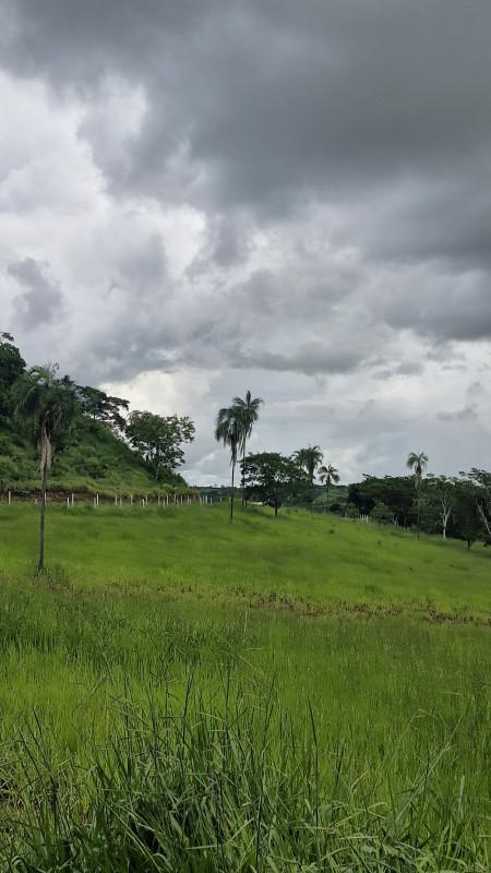 Fazenda, Centro, 0 Quarto, 0 Vaga