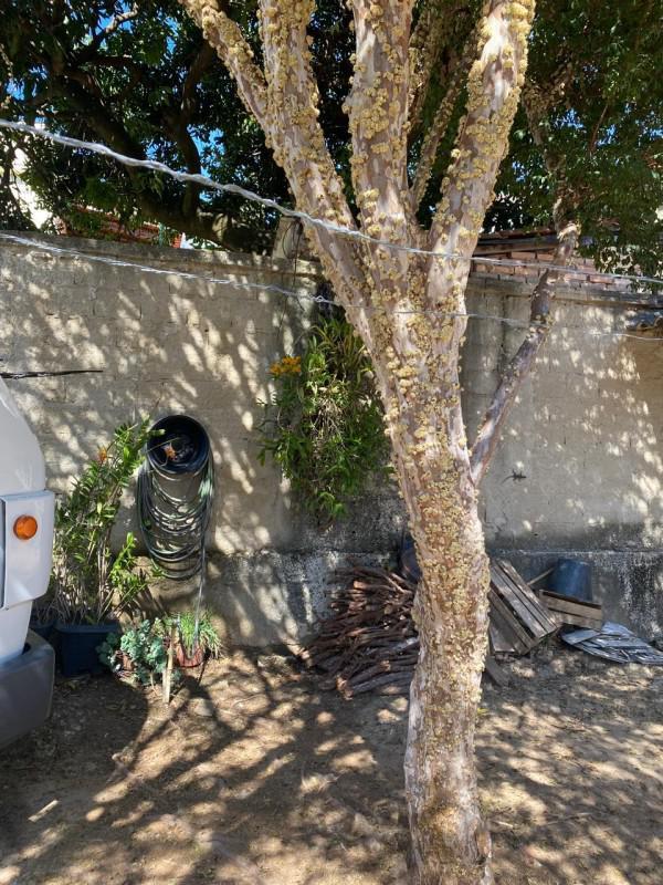 Casa, Goiânia, 2 Quartos, 2 Vagas