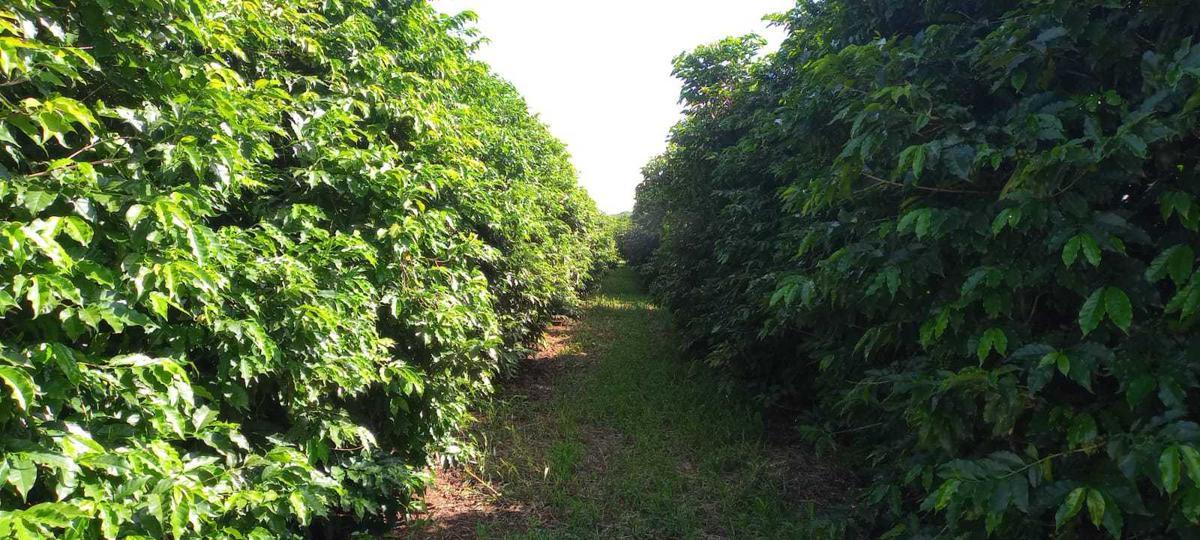 Fazenda, Zona Rural, 3 Quartos, 0 Vaga