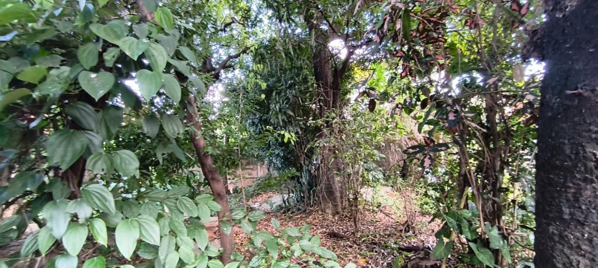 Lote, Santa Cruz, 0 Quarto, 0 Vaga