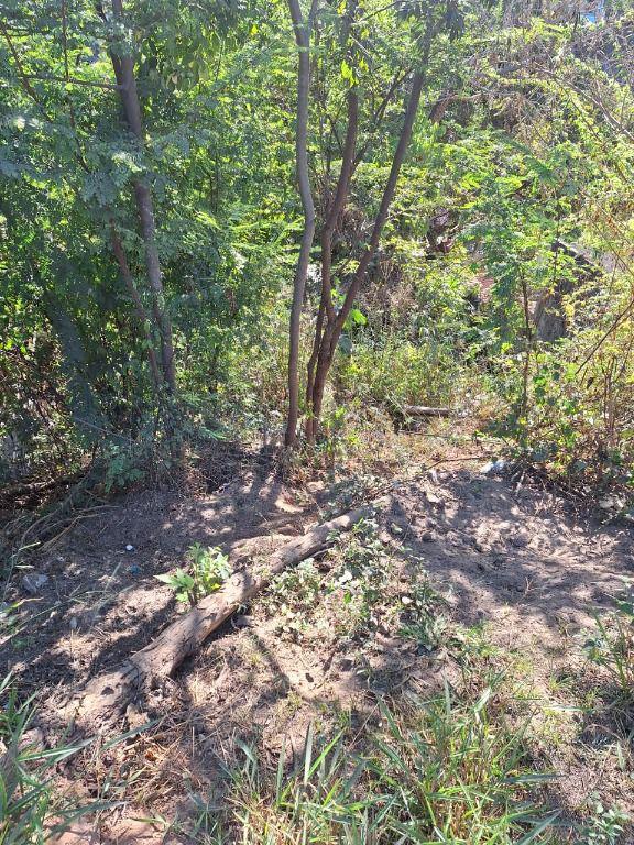 Lote, Morro São Francisco, 0 Quarto, 0 Vaga