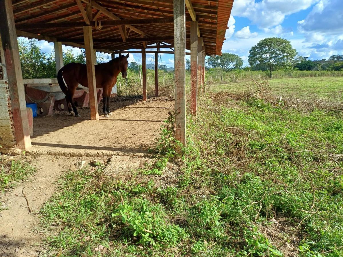 Fazenda, Centro, 3 Quartos, 10 Vagas