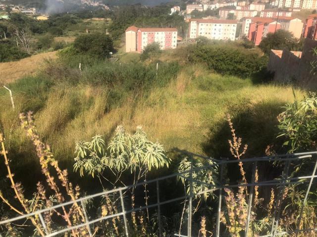 Lote, Jardim Vitória, 0 Quarto, 0 Vaga