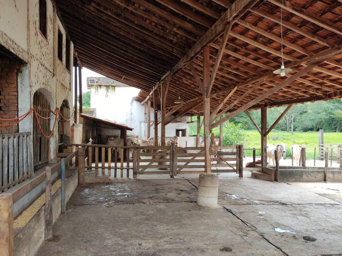 Fazenda, Centro, 3 Quartos, 0 Vaga