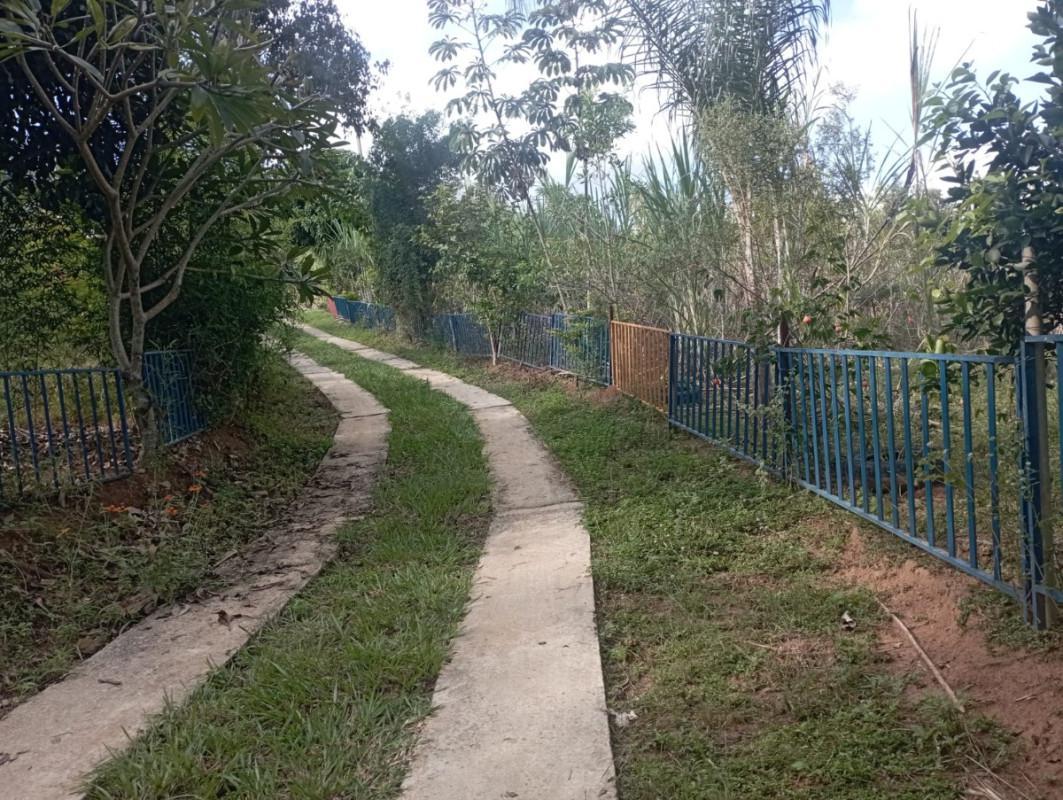 Fazenda, Zona Rural, 3 Quartos, 1 Vaga
