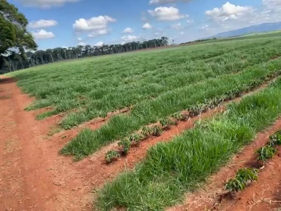 Fazenda, Zona Rural, 3 Quartos, 0 Vaga