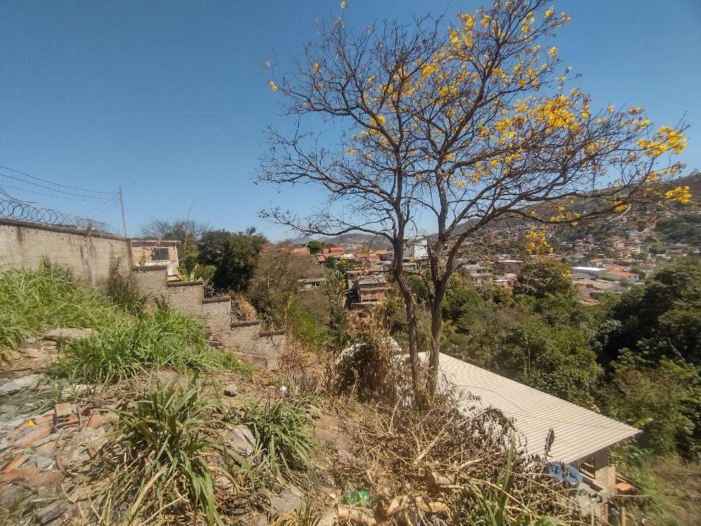 Lote, Esplanada, 0 Quarto, 0 Vaga