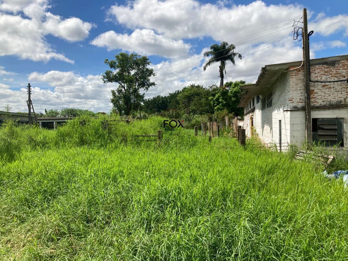 Lote, Inácia de Carvalho, 0 Quarto, 0 Vaga