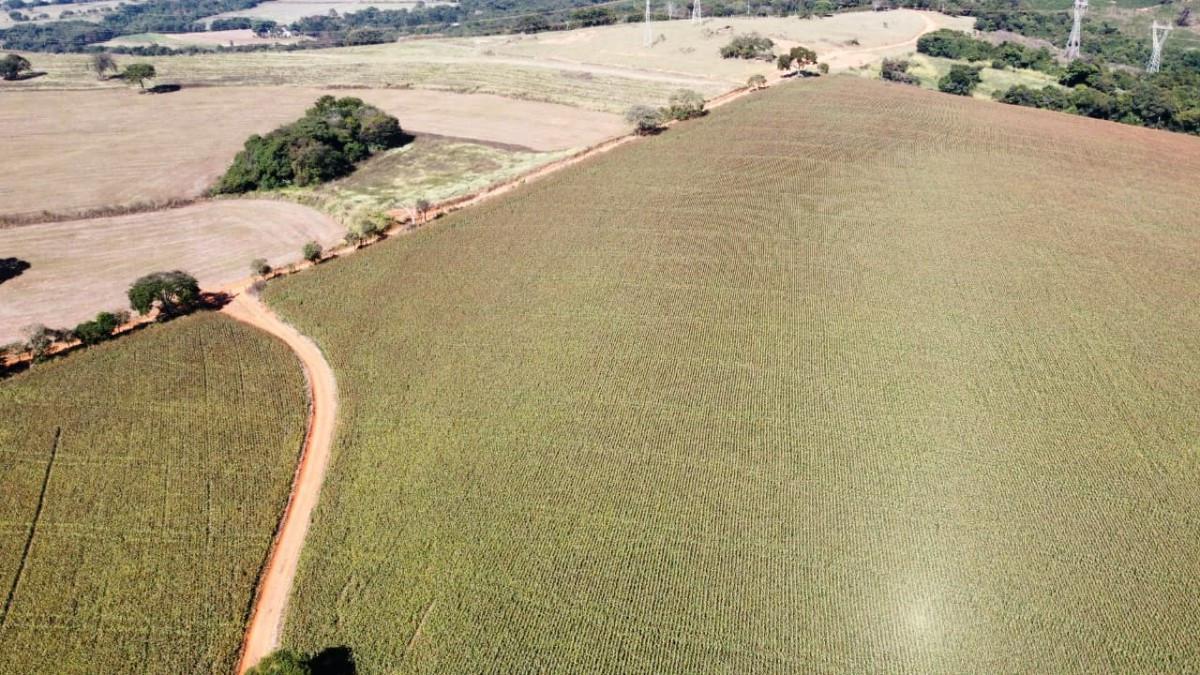 Fazenda, Centro, 0 Quarto, 0 Vaga