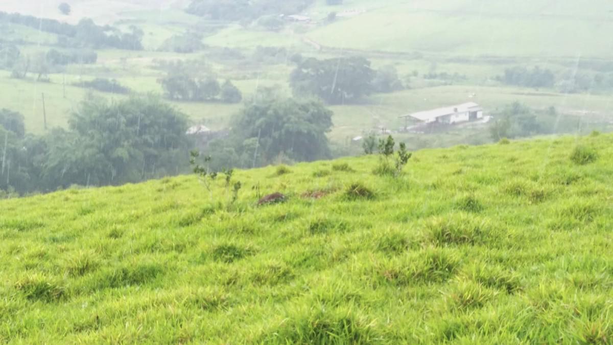 Fazenda, Zona Rural, 0 Quarto, 0 Vaga