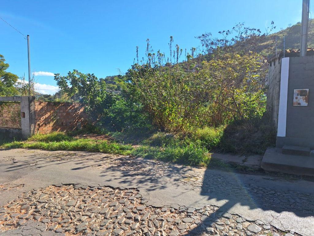 Lote, Morro São Francisco, 0 Quarto, 0 Vaga