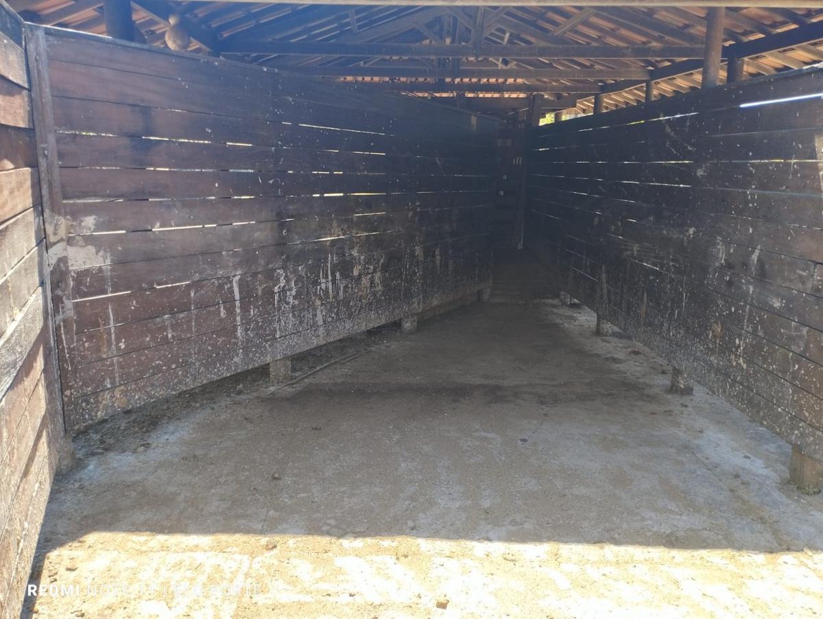 Fazenda, Centro, 4 Quartos, 10 Vagas, 4 Suítes