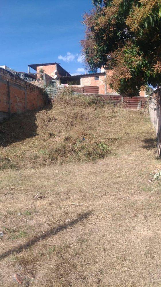 Lote, Cruzeiro do Sul, 0 Quarto, 0 Vaga