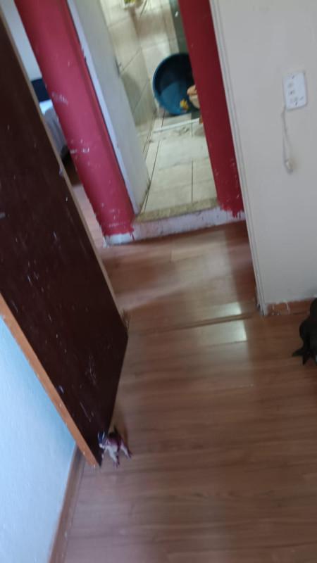 Apartamento, Milionários, 3 Quartos, 1 Vaga
