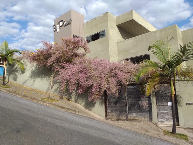Casa, João Pinheiro, 1 Quarto, 1 Vaga