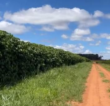Fazenda, Zona Rural, 3 Quartos, 0 Vaga
