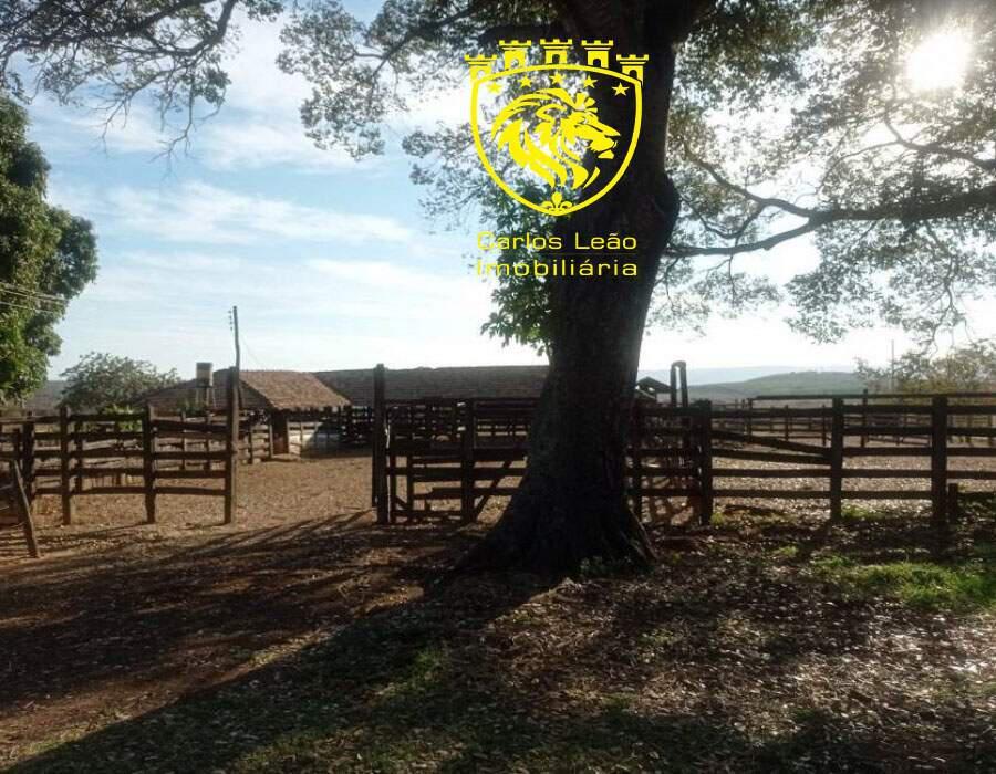 Fazenda, Centro, 3 Quartos, 4 Vagas, 1 Suíte