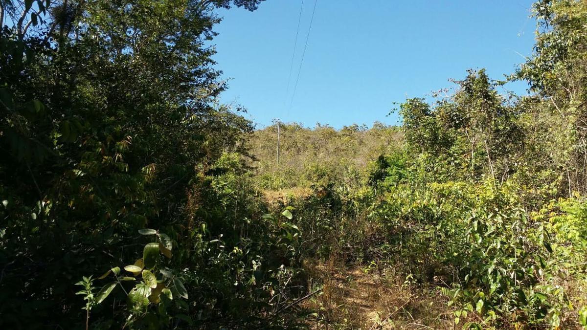 Lote, Zona Rural, 0 Quarto, 0 Vaga
