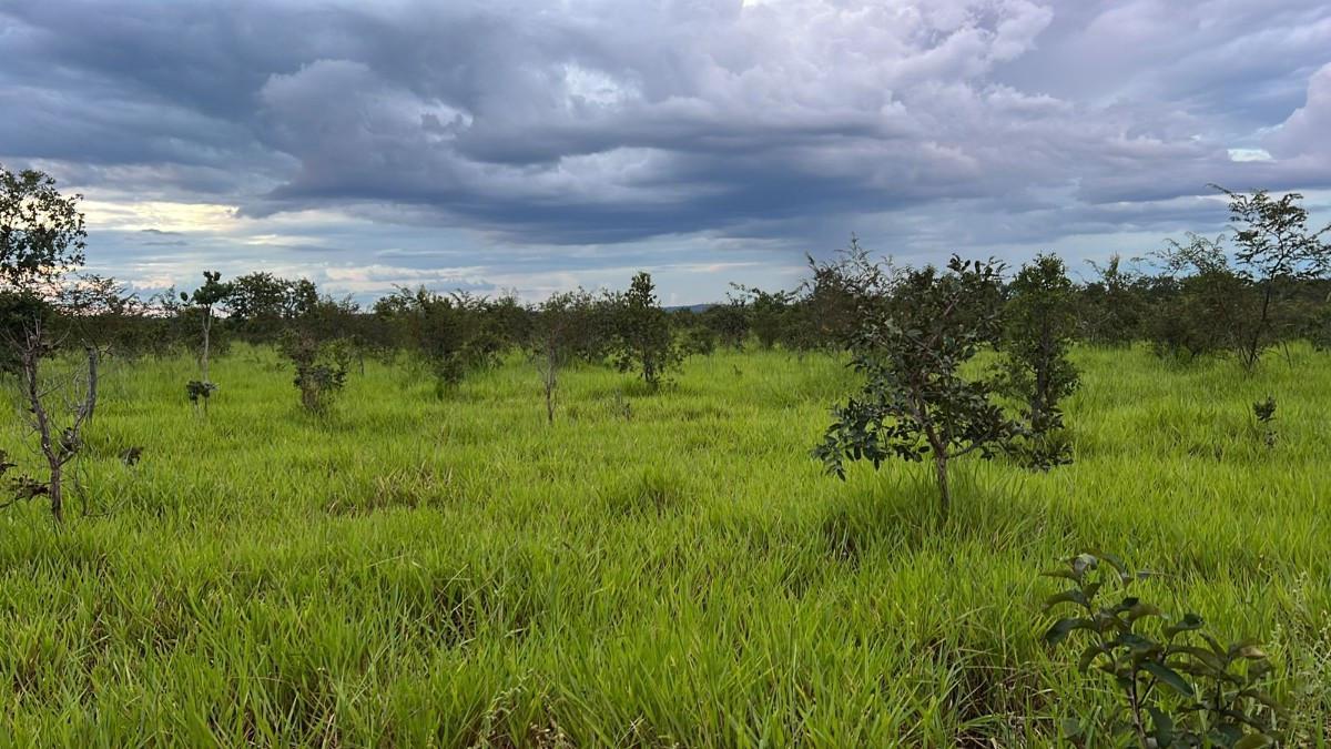 Fazenda, Zona Rural, 0 Quarto, 0 Vaga