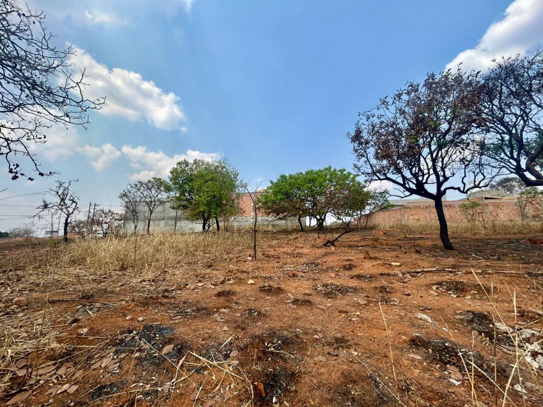 Lote, Vila dos Ipês, 0 Quarto, 0 Vaga
