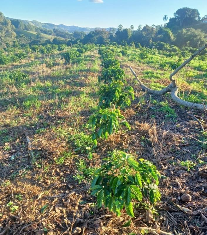 Fazenda, Zona Rural, 0 Quarto, 0 Vaga