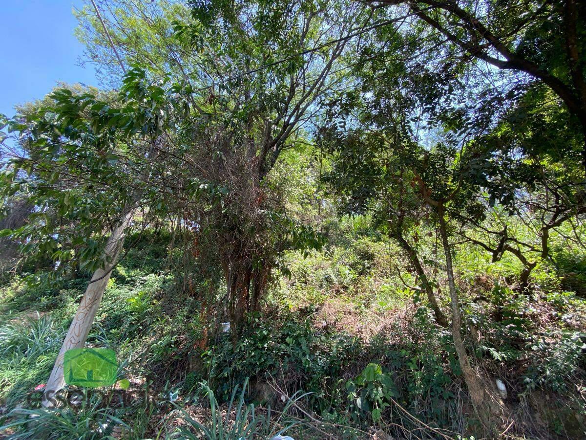 Lote, Alvorada, 0 Quarto, 0 Vaga